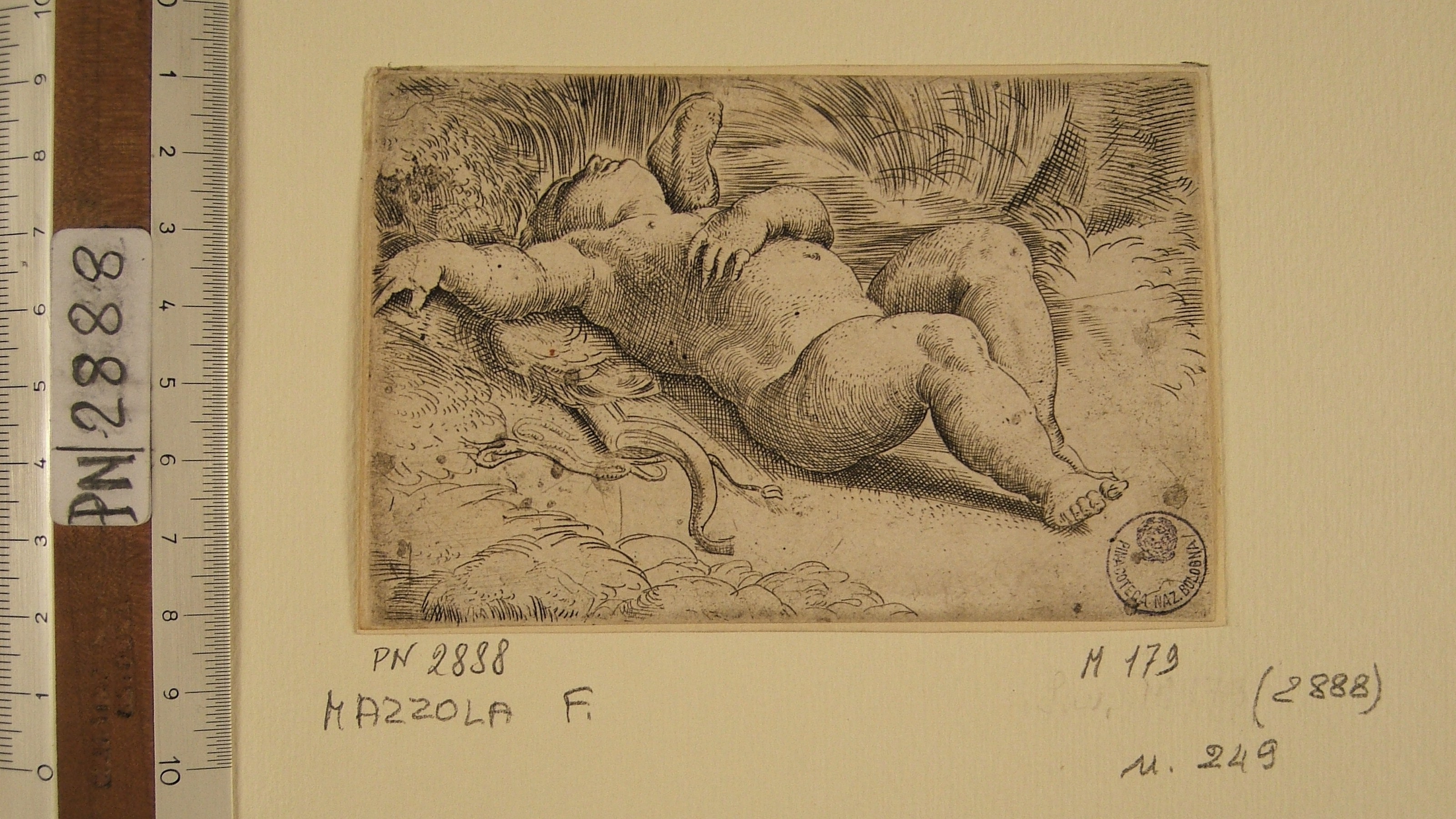 Mazzola Francesco detto il Parmigianino - Amore addormentato